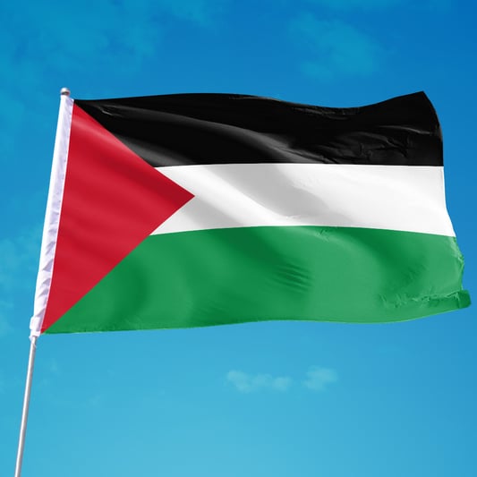 buy_palestine_flag
